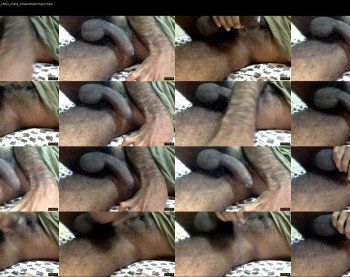blackbull_193