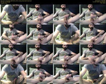 kingcat82