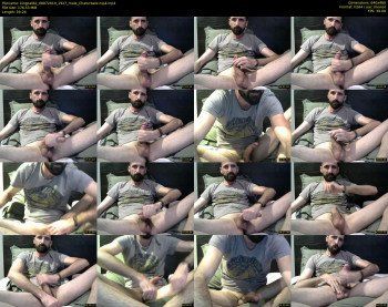 kingcat82