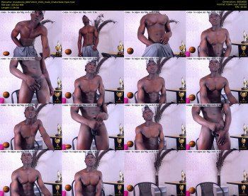 mulatoxox