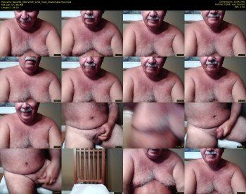tbear66
