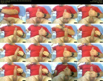 bigwilly281
