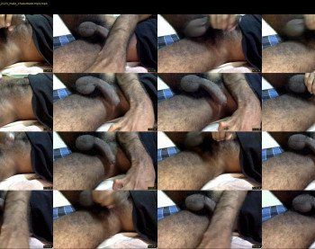 blackbull_193