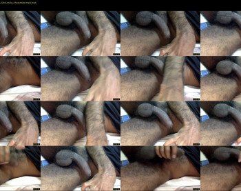 blackbull_193