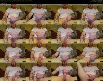 gingersnap308