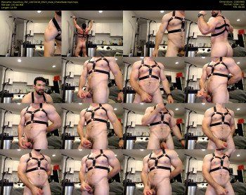 maximus_787