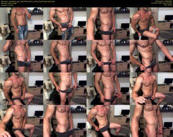 aesthetic_guy