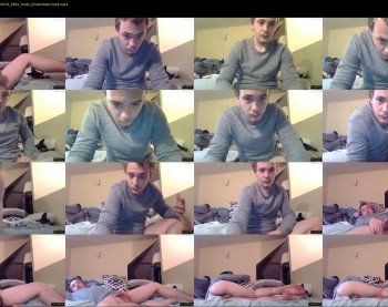 blonde_poonhound