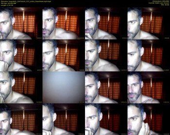hugo4041
