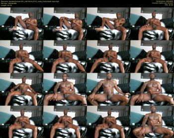 pantherforever207
