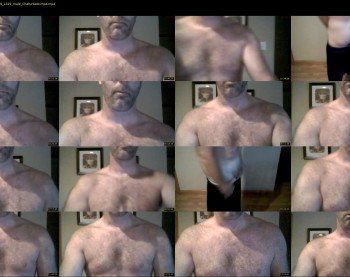 coltmusclebear