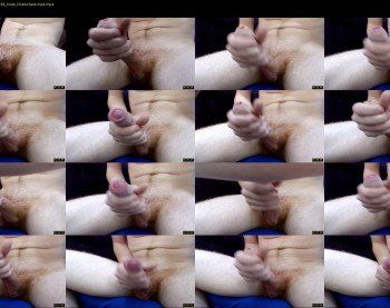 luis_ginger