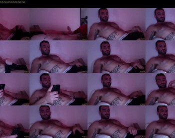 mrmeeseek