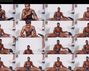 panter_black