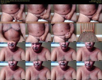 tbear66