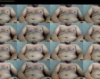 chubbear12