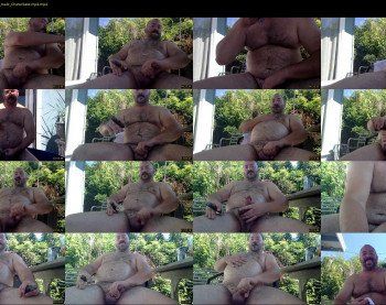 cjbbear