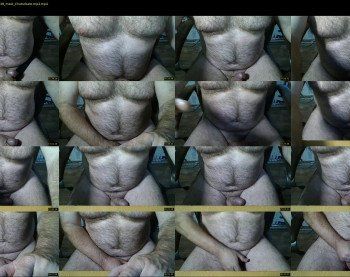 furrybear2