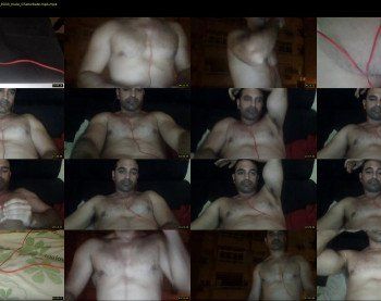 proyectista82