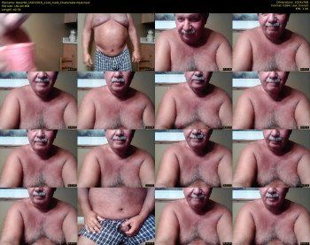 tbear66