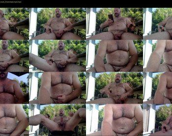 cjbbear