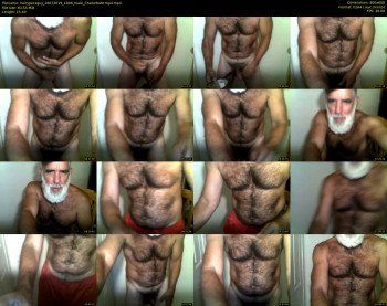 hairypecsguy