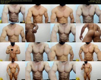 promuscles4u