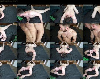 about_the_bulge
