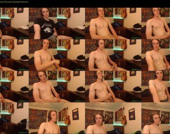 a_beautiful_cock
