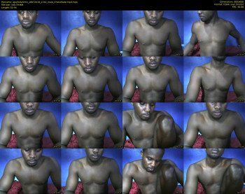 apollodarkmn