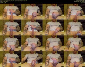 gingersnap308