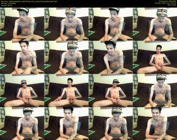 stephonstallion