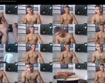 teddyfit19cm