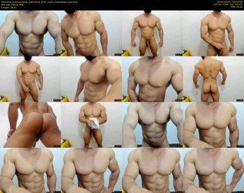 promuscles4u