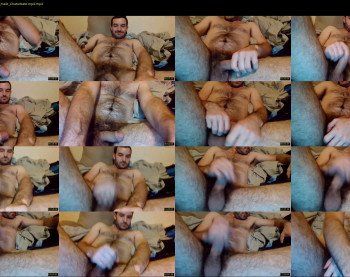 sestes3