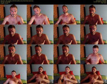 10in_stallion