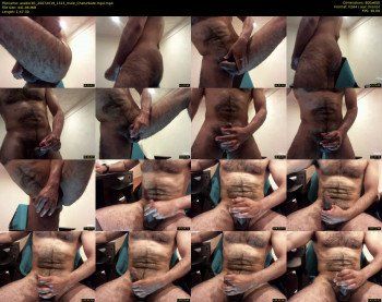 assdoc81
