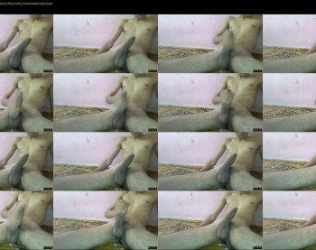 bigg_indian_cock