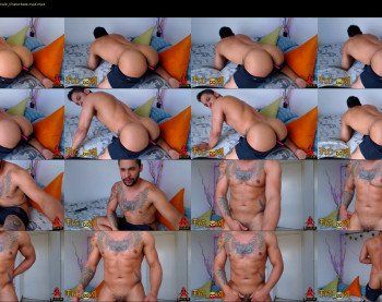 fit_owl