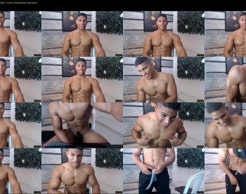 teddyfit19cm