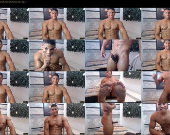 teddyfit19cm
