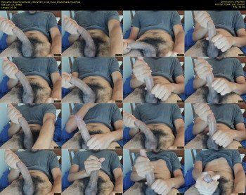 theprinceofsexe