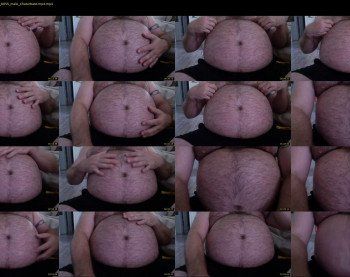 chubchaserbr