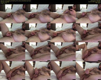 hornyzballz