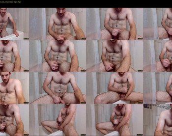 sestes3
