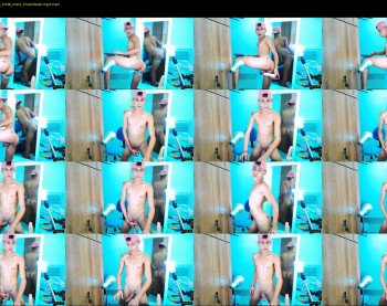 the_king_cami
