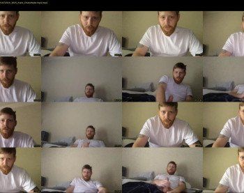 theversowearyassistant