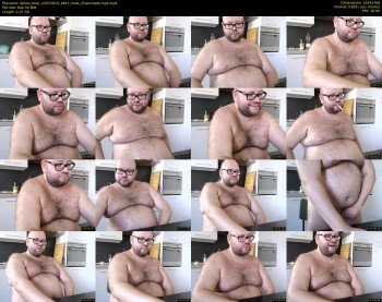 italian_bear