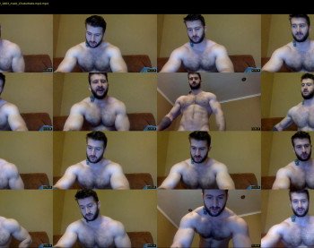 panda_muscle