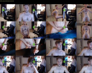 todd_williams